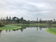 -桤木河湿地公园