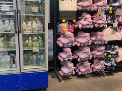 -迪卡侬(西三旗店)