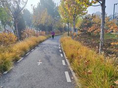 -北极寺公园