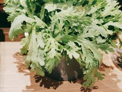 -额尔敦·品质自助(摩尔城店)