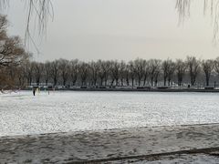 -北陵公园