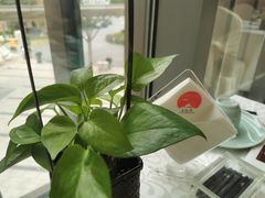 -庄隐阁(悠方广场店)