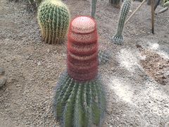 -南山植物园