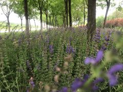 -北运河水利风景区