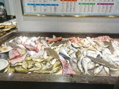 -长平肥姐白粥·海鲜打冷