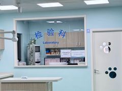 -北京观赏动物医院·24小时大型综合·猫专科·异宠专科