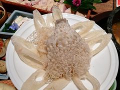 -蘑界·野生菌火锅(深业上城店)