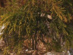 -翁暖茶馆(滨江东总店)