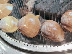 -泰白海鲜烧烤大全