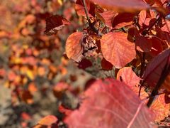 -白水寺森林公园