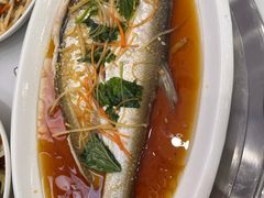 -丹水桥地锅鱼·翘嘴鲌·地方特色全鱼宴(丹江口大坝店)