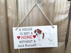 -九斤黄三黄鸡专卖店