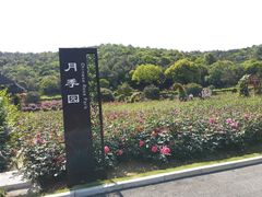 -龙寺生态园