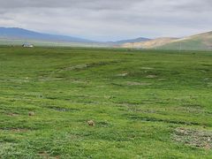 -祁连山草原