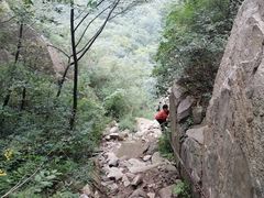 -阳台山自然风景区