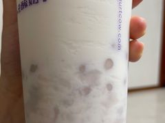 -一只酸奶牛(益州国际店)