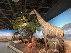 -陕西自然博物馆