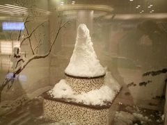 -汤里来温泉