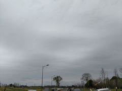 -两河城市森林公园