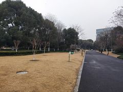 -杭州城北体育公园
