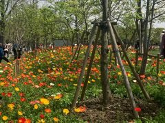 -世纪公园-世纪春沁园