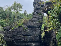 -梭布垭石林景区