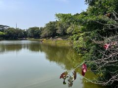 -深圳国际园林花卉博览园