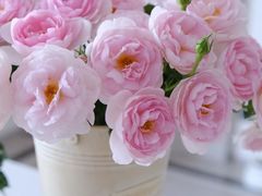 -绿茶餐厅(财富购物中心店)