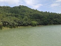 -广州白江湖森林公园