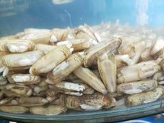 -晓伟海鲜家常菜
