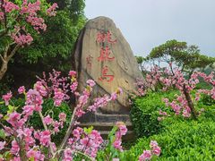 -桃花岛风景旅游区