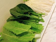 -汤城·料青山
