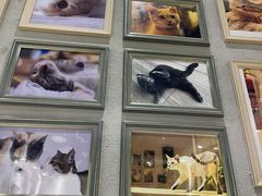 -藏猫猫咖啡主题馆(中央大道店)