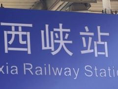 -中国西峡恐龙遗迹园