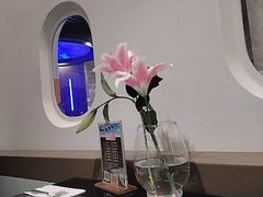 -法兰度航空主题餐厅(河源店)