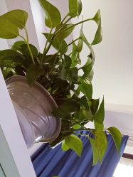 点击看大图 -Return·蕾特恩祛痘·皮肤管理中心