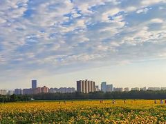 -汉长安城未央宫国家考古遗址公园