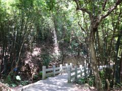 景点-羚羊峡古栈道森林公园