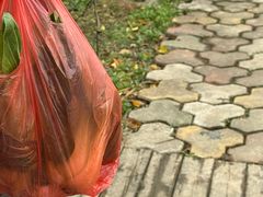 -小鱼草莓采摘园农家乐·小鱼餐厅