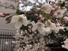 -江南大学(蠡湖校区)