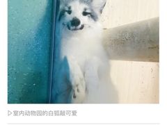 -藦茜花园宠物主题亲子互动体验馆(国顺东路店)