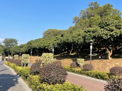-立新湖公园