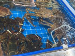 水产区-鸿港海鲜批发市场