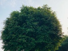 -厦门园林博览苑
