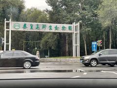 -秦皇岛野生动物园