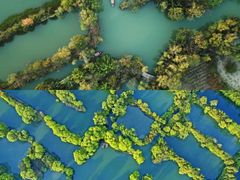 -西溪国家湿地公园