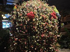 -泉城欧乐堡戏水湾艺术养生温泉