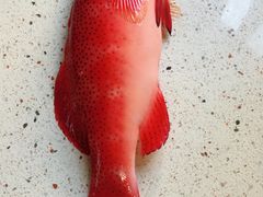 -盒马鲜生(189购物中心店)
