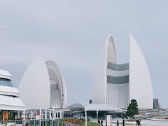 -野狸岛
