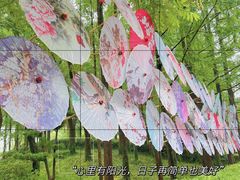 -大宁公园